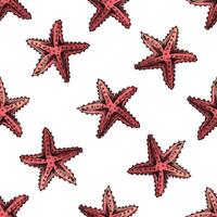 Hand-drawn vintage seamless pattern of red starfish in engraving sketch style for nautical summer surface design vector