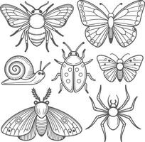 Gray Scale Insect Illustrations Collection Bumblebee Butterfly Moth Snail Ladybug Spider Detailed Line Art Drawings Silhouette Designs vector