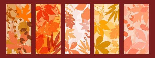 Autumn sheet abstract package for the digital background. The autumn season is the texture of art with natural foliage. Poster, history of social networks, wallpaper design. vector