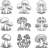 Nine Gray Scale Mushroom Silhouette Illustrations Set Botanical Fungi Drawings Collection Vintage Style Nature Graphic Design Elements vector