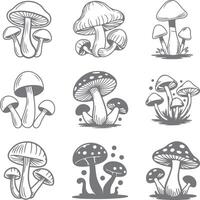 Nine Detailed Gray and White Mushroom Silhouettes Various Styles Clusters Groups Botanical Illustrations vector