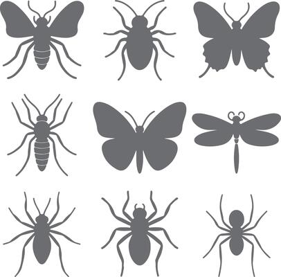 Nine Gray Insect Silhouettes Collection Moth Butterfly Dragonfly Spider Beetle Icon Set
