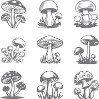 Nine Gray Scale Mushroom Silhouette Illustrations Various Types and Sizes Hand Drawn Style Botanical Set vector
