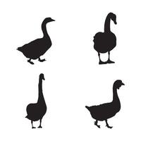 Swan and Duck Silhouette Set Black Illustrations Isolated on White Background vector