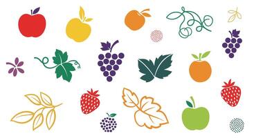 Collection of Various Fresh Fruits and Leaves Healthy Eating Concept for Creative Art vector
