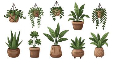 A Guide to Bringing the Outdoors In Decorating With Houseplants For Every Home vector
