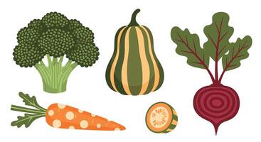 A Colorful Collection of Fresh Vegetables Nutritious Delights from the Garden vector