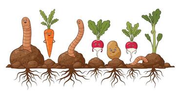 Whimsical Root Vegetables Illustration Displaying Various Stages of Growth and Development Beautifully vector