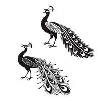 Peacock Silhouettes Majestic Display and Graceful Bird Art vector