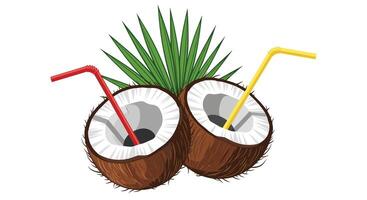 Coconut with straw and palm leaves vector