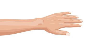 Hand with fingers on white background vector
