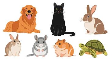 A variety of animals including a dog, cat, rabbit, turtle, tortoise, and tort vector