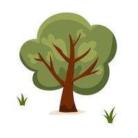 Leafy tree with brown trunk and green foliage on white background. vector