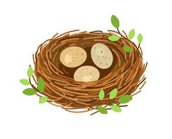 Birds nest with 3 eggs, branches and leaves. Illustration isolated on white background vector