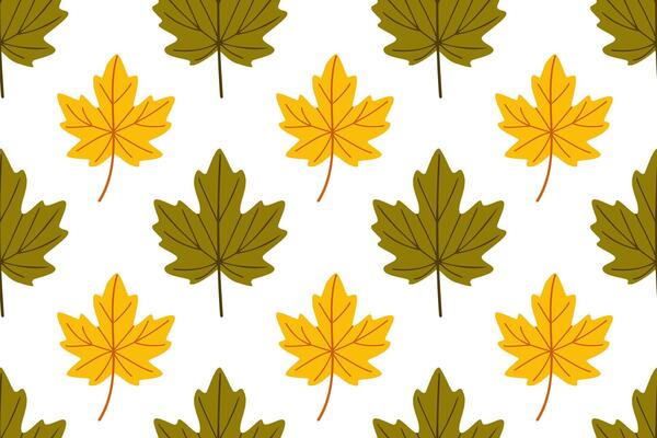 Pattern of maple leaves in warm olive and yellow colors. Great for rustic fall backgrounds, nature themes and wrapping