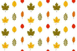 Seamless pattern with various autumn leaves scattered across the background in green, yellow, red, and orange. Great for seasonal packaging, prints, and decorative backgrounds vector