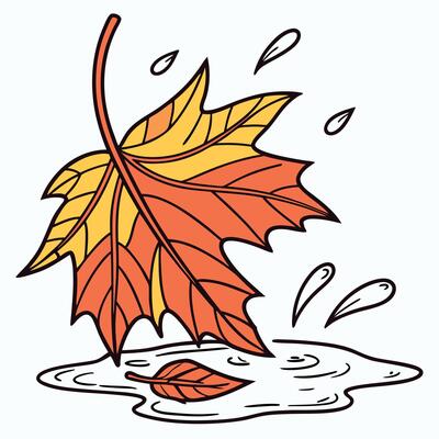Autumn leaf falling into water illustration