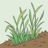 How to grow grass in a pot vector