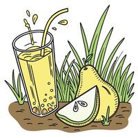 Pear and juice vector
