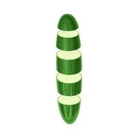Cucumber slices lying in vertical row. Healthy organic vegetable illustration vector