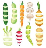 Set of vegetable slices lying in vertical rows. Healthy organic cutting potato, pepper, zucchini, onion, champignon, carrot, mushroom, radish illustration vector