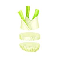 Slices lcelery ying in vertical row. Healthy organic vegetable illustration isolated on white background vector