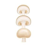 Champignon mushroom slices lying in vertical row. Healthy organic vegetable illustration vector