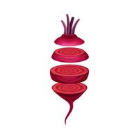 Beetroot slices lying in vertical row. Healthy organic vegetable illustration is vector