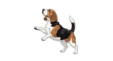 An Adorable Beagle Dog Standing and Dancing in the Air Its Joyful Nature vector