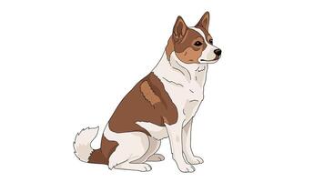 The Charming Finnish Spitz A Detailed Look at this Energetic and Vocal Breed vector