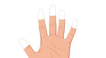 Hand Washing Technique A Guide to Perfect Hygiene and Health for Good Life vector