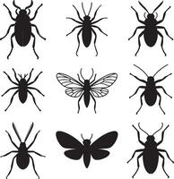 Nine Black Insect Silhouettes Collection Diverse Beetle Moth Bug Graphic Design Elements vector