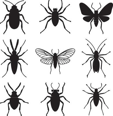 Nine Black Insect Silhouettes Collection Beetle Spider Moth Graphic Design Elements Isolated on White Background Illustration