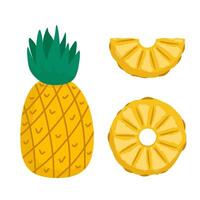 Pineapple Icon Set with Sliced Fruit Elements vector