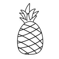 Pineapple line icon isolated on white background. line icon of pineapple fruit for infographic vector
