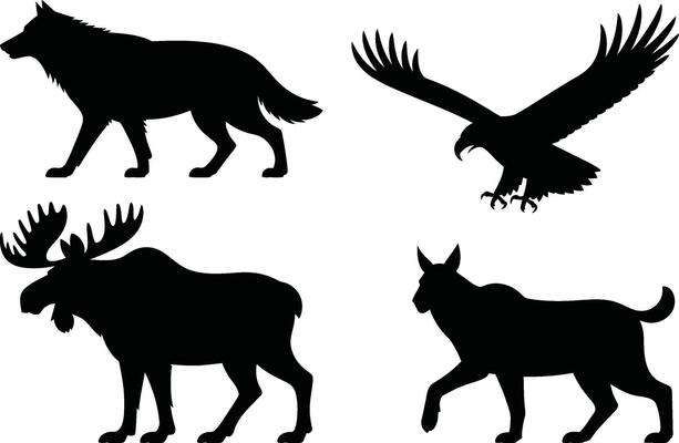 Wildlife animals black silhouette collection illustration isolated on white background