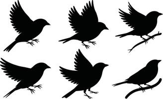 Silhouette illustration of birds in flight and perched on branches vector