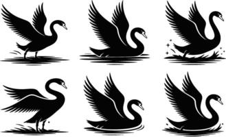 Black swan silhouette collection graceful waterfowl set in different poses vector