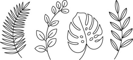 Black and white outlines of tropical leaves and branches illustration design vector