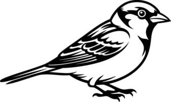 Monochrome illustration of a sparrow bird image for graphic design vector