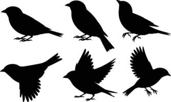 Black bird silhouette collection with flying and perched poses on white background vector