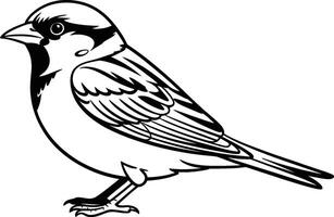 Black and white illustration of a passerine bird in side view vector