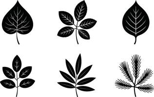 Collection of various black and white leaf illustrations on white background vector
