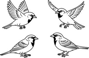 Sparrow bird illustration set in black and white outline style vector