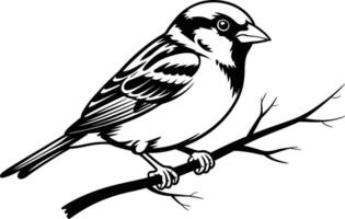 Isolated illustration of a sparrow perched on a branch in black and white vector