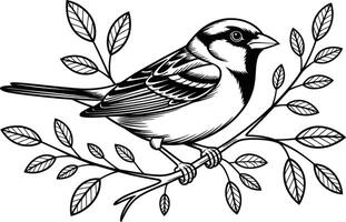 Sparrow bird perched on a branch vintage line art illustration graphic vector