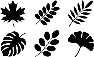 Assorted leaf silhouettes collection botanical foliage design elements isolated set vector