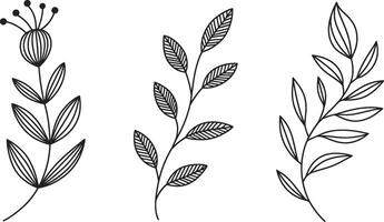 Minimalist floral line art illustration with botanical branch and leaf elements vector