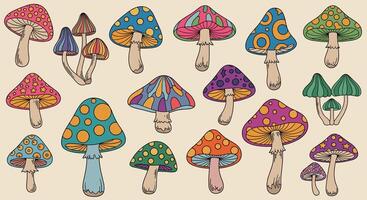 Colorful Funky Psychedelic Mushrooms in Various Shapes Sizes and Patterns for Decoration Illustration vector