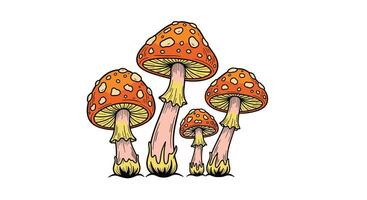 The Intriguing World of Orange Mushrooms A Captivating Exploration of Fungi Variety vector